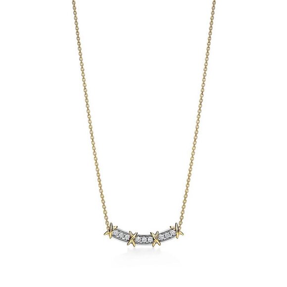 Tiffany & Co. Cross-Colored Necklace - Picture 1 of 5